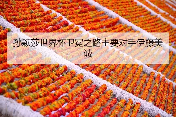 sun-ying-sha-shi-jie-bei-wei-mian-zhi-lu-zhu-yao-dui-shou-yi-teng-mei-cheng-2-767.jpg